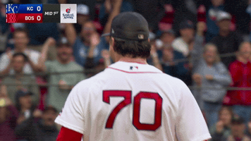 Celebrate Red Sox GIF by MLB