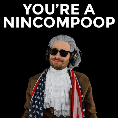Idiot Insulting GIF