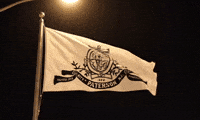 Flag Paterson GIF by Demic