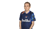 Rb Leipzig Arms Sticker by Bundesliga