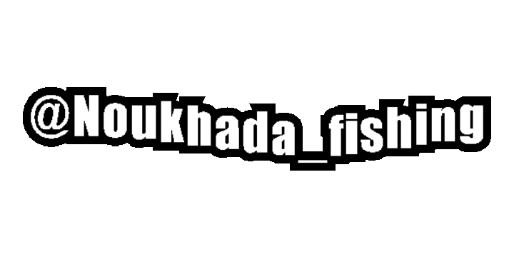 Noukhadafishing Sticker by Ali Dashti