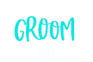 Wife Groom Sticker by TLC