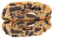 Chocolate Chip Food Sticker by foodbabyny