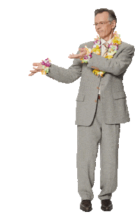 Hula Hula Dance Sticker by ING Austria