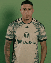 Portland Timbers Soccer GIF by Timbers