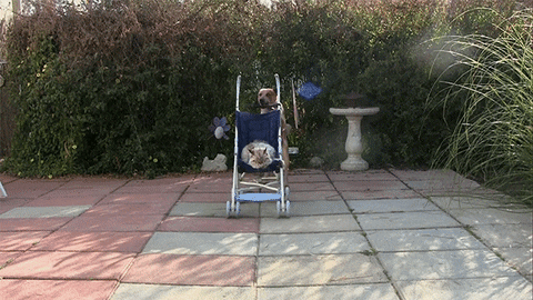 GIF by Digg