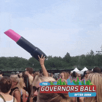 governors ball GIF by GOVBALL NYC