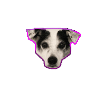 Dog Sticker by Die Goldkinder