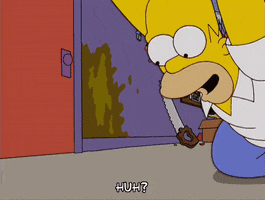 homer simpson episode 13 GIF