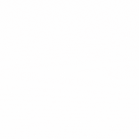 Horse GIF by RideIEA