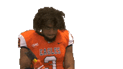 Ball Flex Sticker by Carson-Newman Athletics