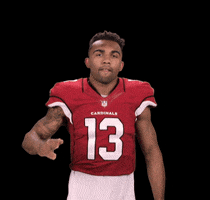 Arizona Cardinals Football GIF by NFL