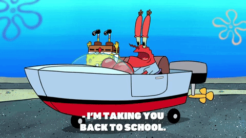 season 9 episode 3 GIF by SpongeBob SquarePants