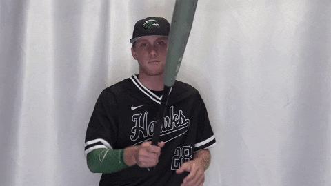 Collegebaseball Ncaadii GIF by RiverHawk Sports