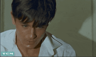 France GIF by Turner Classic Movies
