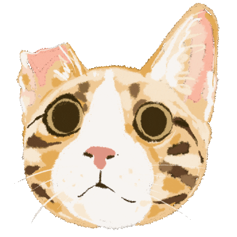 In Love Cat Sticker