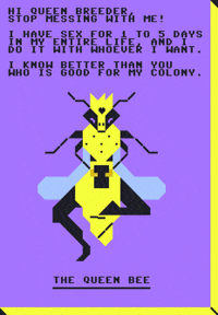 Queen Bee GIF by ailadi