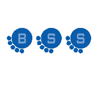 budavari_schonherz_studio bss bsstudio budavarischonherzstudio Sticker