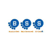 budavari_schonherz_studio bss bsstudio budavarischonherzstudio Sticker
