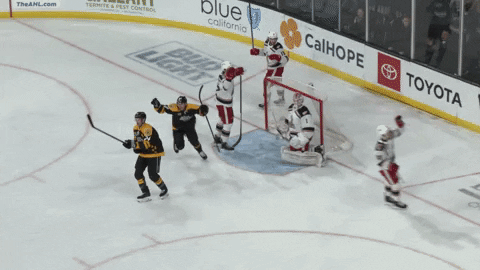 Sport Goal GIF by Ontario Reign