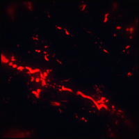 gif artist glow GIF by Erica Anderson