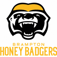 BramptonHoneyBadgers basketball nba ball toronto GIF