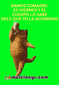 Feliz Tomando GIF by Murcianys LLC