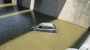 MFDtheArtist houston flood harvey GIF
