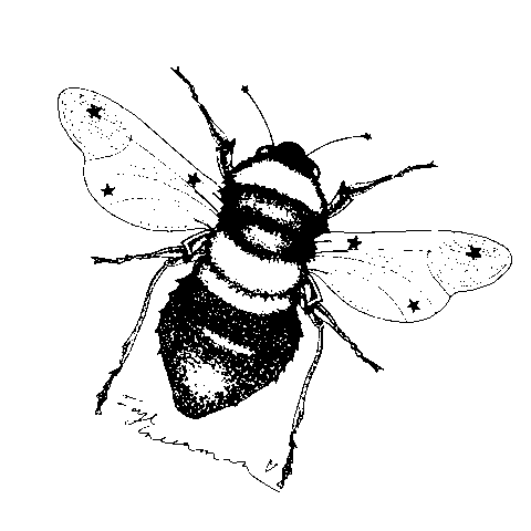 fayegreenman giphyupload artist bee illustrator Sticker