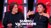 The Voice Senior Coach GIF by The Voice of Italy