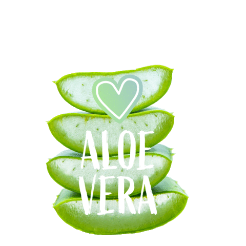 Aloevera Sticker by LR Health & Beauty