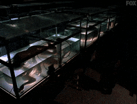 x files GIF by The X-Files
