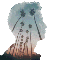 Golden Hour Sticker by Kygo