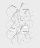 GIF by Carl Burton