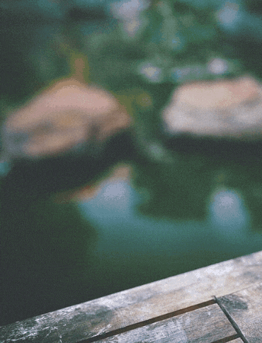 cph19ab giphyupload cà phê nguyên chất hà nội cafe hạt tại hà nội cà phê rang xay hà nội GIF