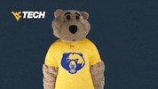 Number One College GIF by WVU Tech Golden Bears