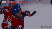 happy ice hockey GIF by NHL