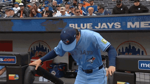 Blue Jays Baseball GIF by Toronto Blue Jays