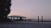 FIU summer beach volleyball camp GIF