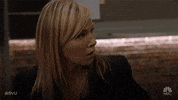 Season 19 Nbc GIF by SVU