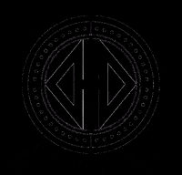 dandanielsoficial luxury marbella lujo puertobanus GIF