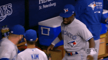 Blue Jays Baseball GIF by MLB