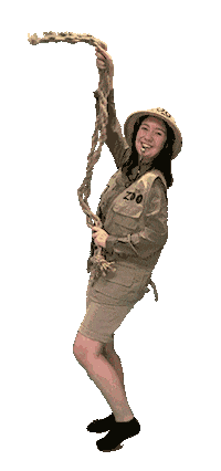 Dance Move Sticker by Samford University