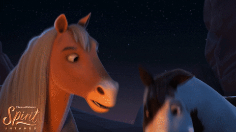 Dreamworks Animation Horse GIF by DreamWork's Spirit