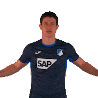 Sport Bundesliga Sticker by TSG Hoffenheim