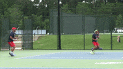csucougars csu GIF