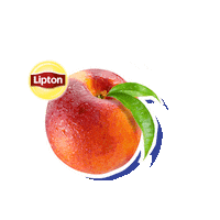 LiptonBrazil te lipton te helado liptonbr Sticker