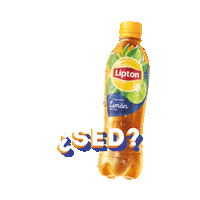 LiptonBrazil te lipton te helado stickerlipton Sticker