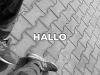lurejunks hallo GIF