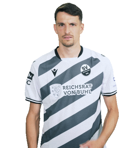 3Liga Sticker by SV Sandhausen